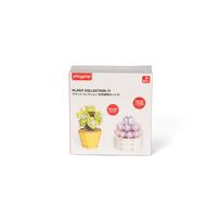 プラントコレクション 多肉植物セット４ トイザらス限定 クリスマスプレゼント 8歳 9歳 10歳