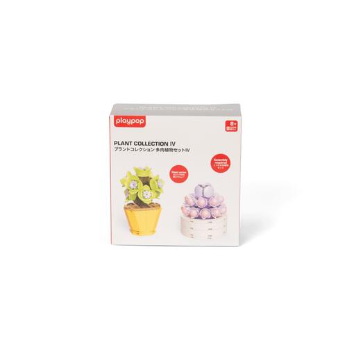 プラントコレクション 多肉植物セット４ トイザらス限定 クリスマスプレゼント 8歳 9歳 10歳