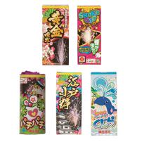 6人で20分遊べる ご家族、ご友人、帰省先にも みんなで花火大会 大ボリューム【オンライン限定】手持ち花火セット 花火詰め合わせ【メーカー直送】