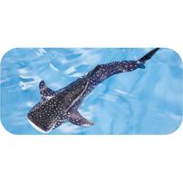 アニア AL-05 ジンベエザメ（水に浮くVer.)