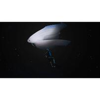 【Nintendo Switchソフト】フォーエバーブルー ルミナス