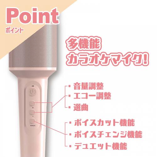 【オンライン限定】カラオケマイク