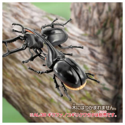 アニア AL-39 ネプチューンオオカブト