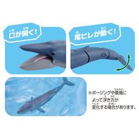 アニア AL-23 シロナガスクジラ（水に浮くVer.）