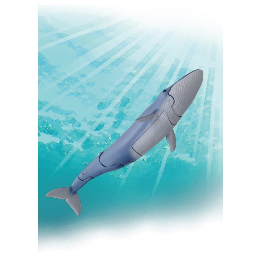 アニア AL-23 シロナガスクジラ（水に浮くVer.） | おもちゃ通販の