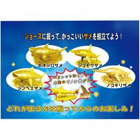 発掘名人 発掘上手（ハックツジョーズ）SUPER DX【種類ランダム】