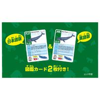 アニア AL-23 シロナガスクジラ（水に浮くVer.）