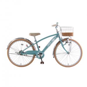 24インチ 身長120～140cm 子供用自転車 アミューズ2 ブルーグリーン LEDライト 女の子 トイザらス限定