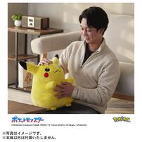 【予約受付商品】ポケモン30周年記念 おかえり！ピカチュウ1/1【出荷予定日：2026年2月28日】