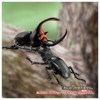 アニア AL-38 ギラファノコギリクワガタ