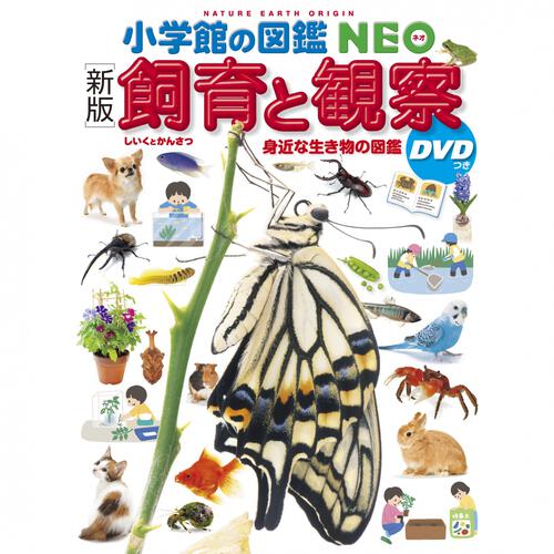 新版 小学館の図鑑NEO 飼育と観察 DVDつき