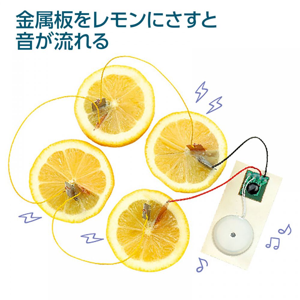 てのひら実験室レモン電池キット | おもちゃ通販のトイザらス