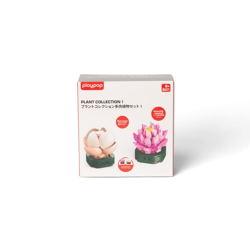 プラントコレクション 多肉植物セット1 トイザらス限定 クリスマス