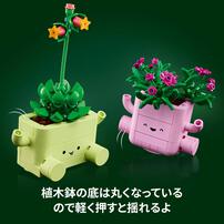 【2026年5月1日発売】レゴ LEGO ボタニカル ロッキングプランツ 11506