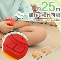 リモコンどうぶつバンド いぬ トイザらス限定  3歳 4歳 5歳