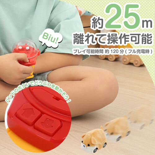 リモコンどうぶつバンド いぬ トイザらス限定  3歳 4歳 5歳