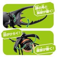 アニア AL-39 ネプチューンオオカブト