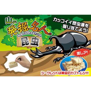 山の発掘名人 昆虫【種類ランダム】