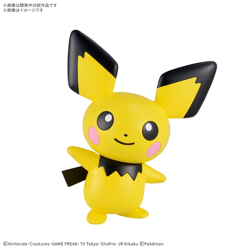 任天堂 ポケモンミニ専用ソフト　ピチューブラザーズミニ ポケモンminiゲームソフト 「ピチューブラザーズミニ」 箱、説明