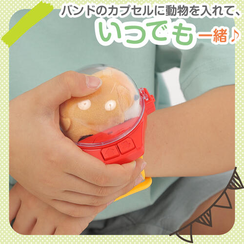 リモコンどうぶつバンド いぬ トイザらス限定  3歳 4歳 5歳