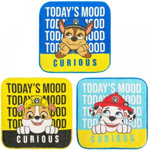 プチタオル 3枚組 パウ・パトロール　ムード