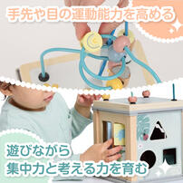 木製ミニ アクティビティ キューブ トイザらス限定  2歳 3歳 4歳