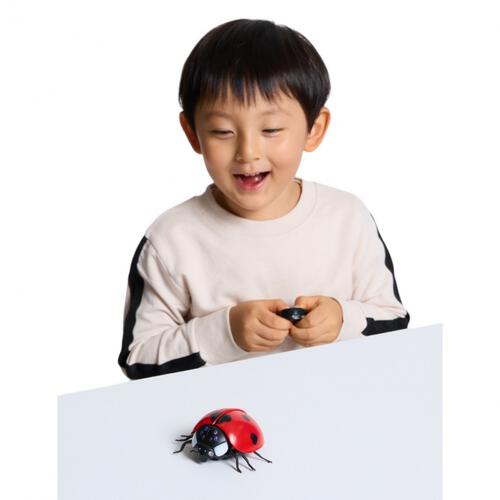 プレイポップ IR RCてんとうむし(赤外線通信) トイザらス限定 クリスマスプレゼント 6歳 7歳 8歳