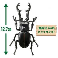 アニア AL-38 ギラファノコギリクワガタ