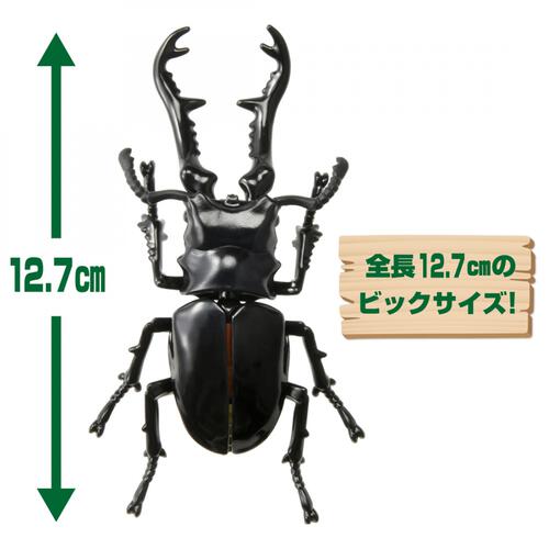 アニア AL-38 ギラファノコギリクワガタ