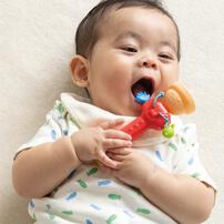 Baby Curiosity なめられ太郎六代目