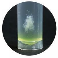 手のひら実験室生命の設計図！？DNA抽出キット