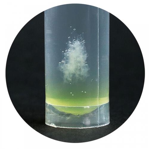 手のひら実験室生命の設計図！？DNA抽出キット