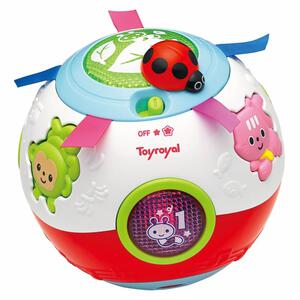 おいかけてコロコロボール