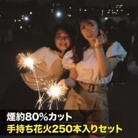 煙約80％カット 手持ち花火250本入りセット【オンライン限定】写真がキレイ 手持ち花火セット 花火詰め合わせ【メーカー直送】