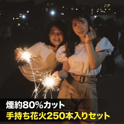 煙約80％カット 手持ち花火250本入りセット【オンライン限定】写真がキレイ 手持ち花火セット 花火詰め合わせ【メーカー直送】