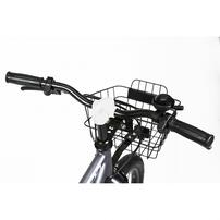 16インチ 身長100～115cm 子供用自転車 マセラティキッズ  スモークグレー MASERATI KIDS16SS－TZ トイザらス限定 補助輪付き自転車 3歳