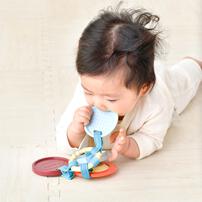 赤ちゃん観察シリーズ 一度持ったら…放さないんディスク