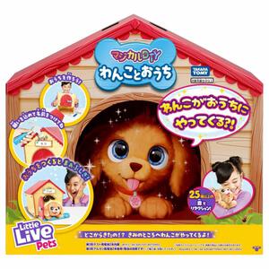 マジカルDIY わんことおうち クリスマスプレゼント 5歳 6歳 7歳