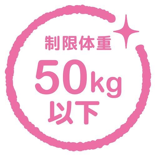 キックスクーター ポケモン S イーブイ  4歳 5歳 6歳