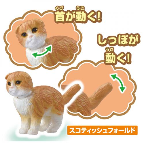 アニア わんにゃんにぎやかセット