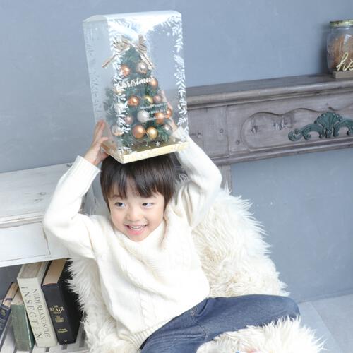 キラキラ光る卓上ミニクリスマスツリー 28cm スタンダード