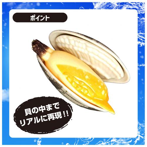 あさり水てっぽう 水鉄砲 子供用 水遊び