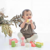 お米のつみき 縁起色 トイザらス限定