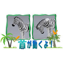 アニア AS-04 シマウマ