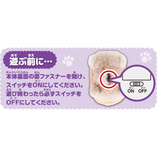ワンだきみは！？ ぬいぐるみ