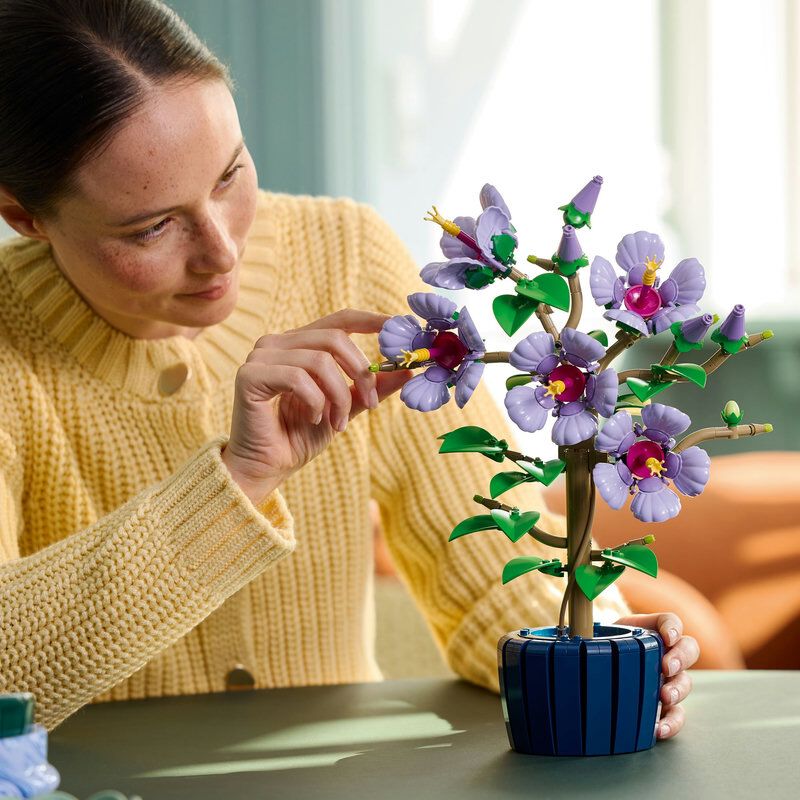 レゴ LEGO ボタニカル 10372 ハイビスカス | Toys”R”Us – Japan