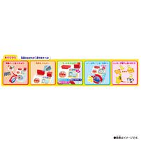 プッシュでぐるぐる！きれいにほせたよ！アンパンマンおしゃべりせんたくき