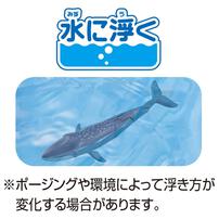 アニア AL-23 シロナガスクジラ（水に浮くVer.）