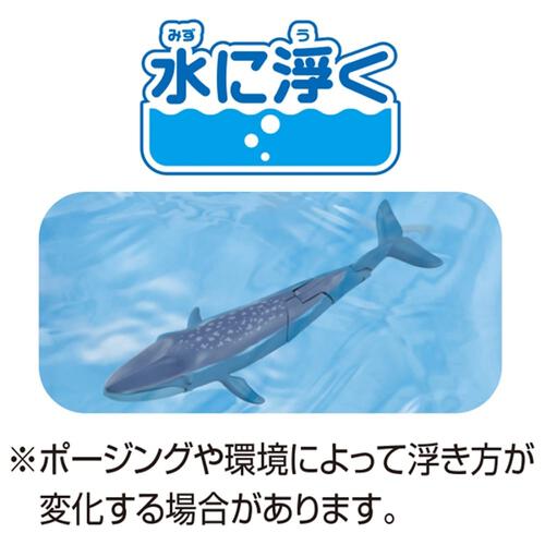 アニア AL-23 シロナガスクジラ（水に浮くVer.）