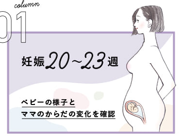Column01 妊娠20～23週　ベビーの様子とママのからだの変化を確認